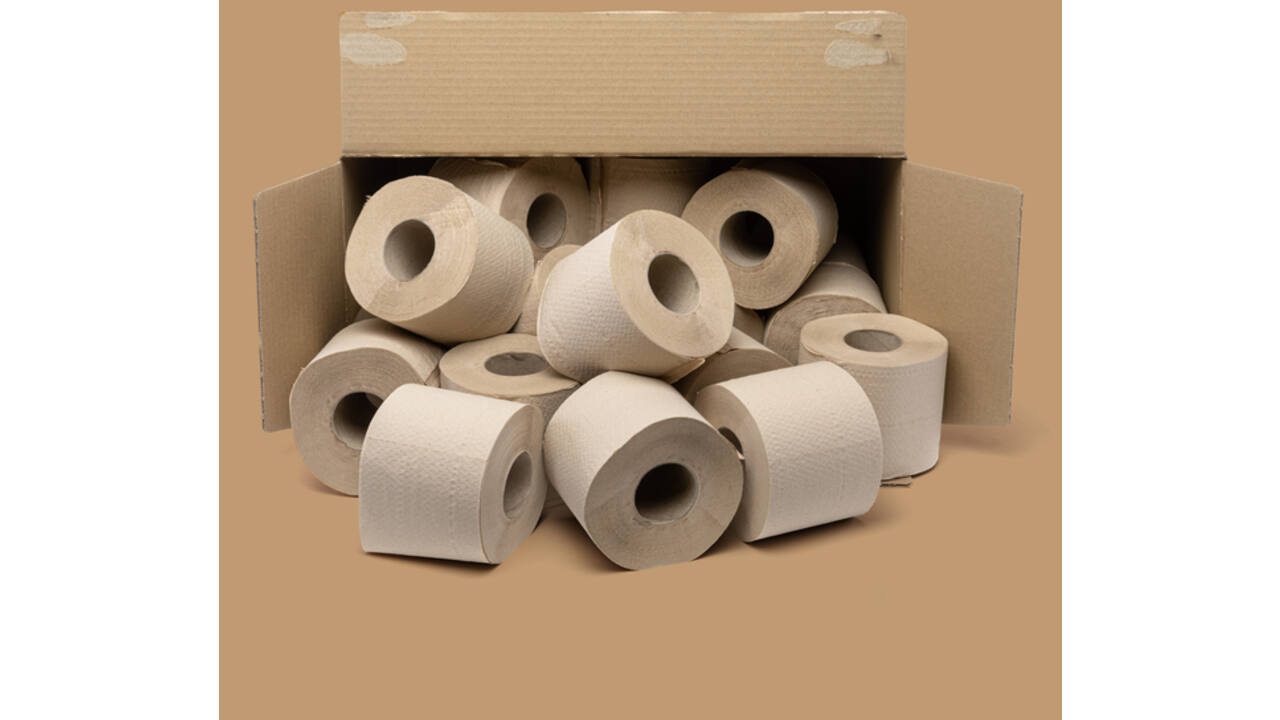 Toiletpapier The Good Roll The Panda Edition Naked bamboe 2-laags 24x300 vel naturel