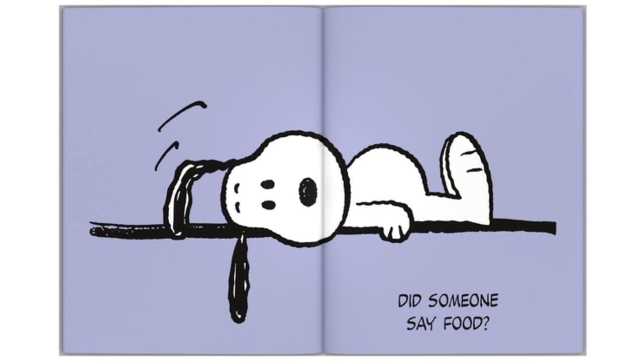 Schoolagenda 25-26 Lannoo Snoopy 1dag/1pagina met inserts lila