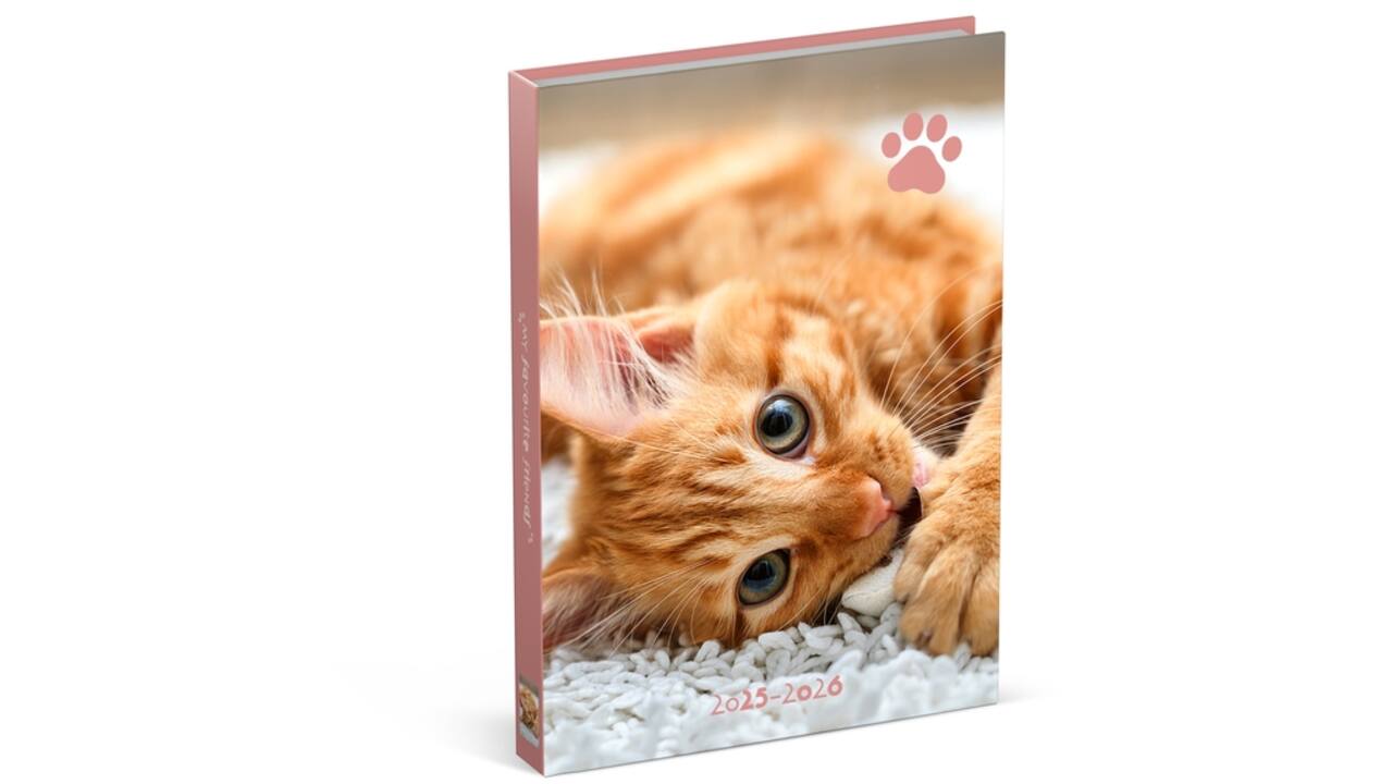 Schoolagenda 25-26 Lannoo Cats 1dag/1pagina roze