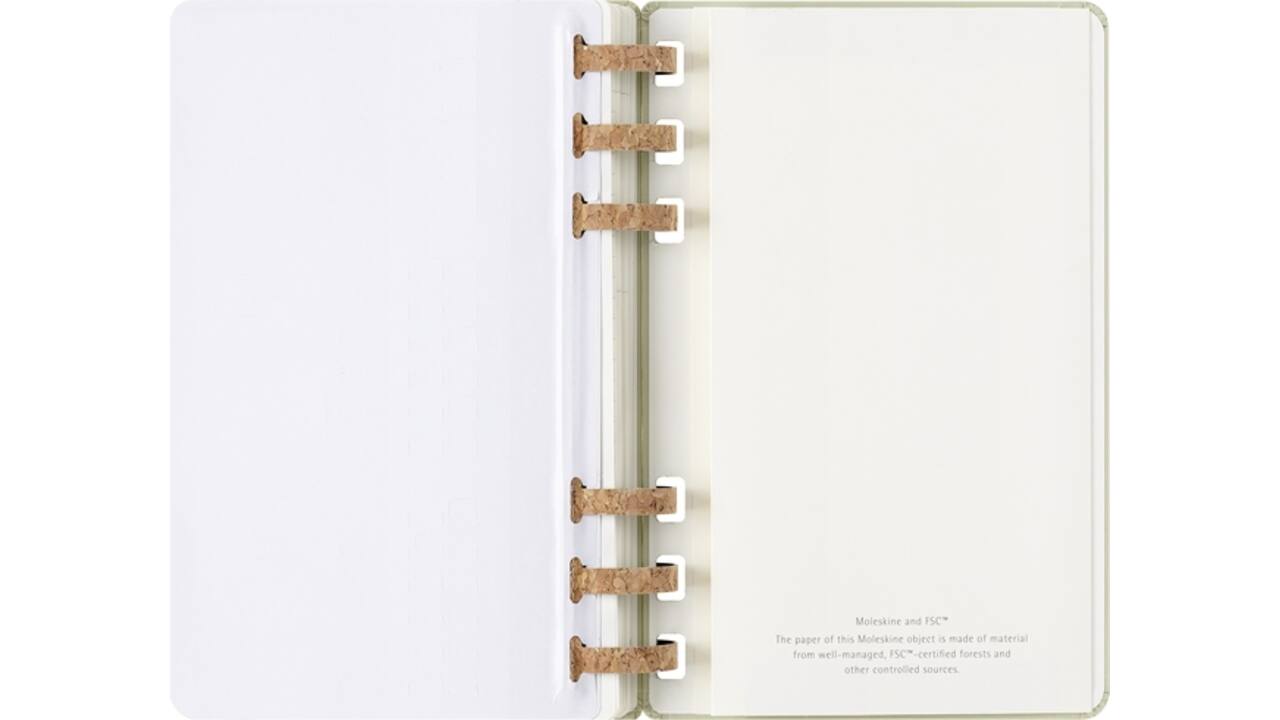 Agenda 2025/2026 Moleskine 12M Academic Weekly 7d/1p Myrtle large kiwi