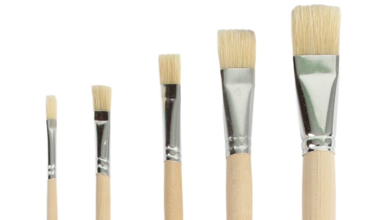 Kwast Qrea varkenshaar set à 5 breedtes