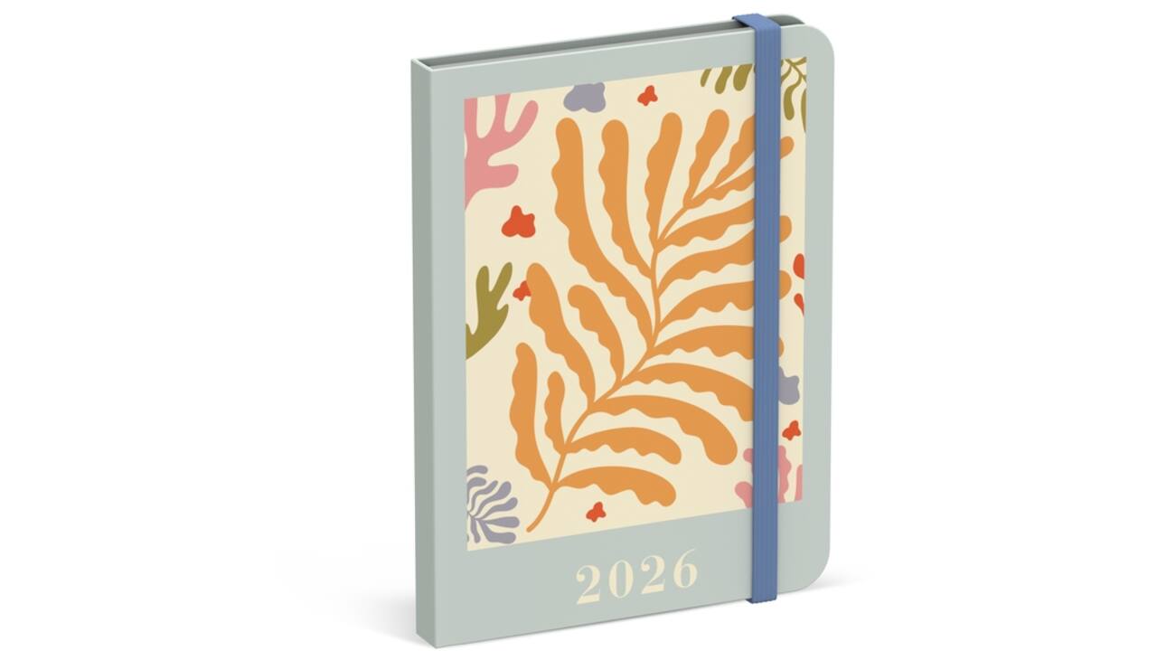 Agenda 2026 Lannoo 110x150 Papier Découpé 7dagen/2pagina's blauw