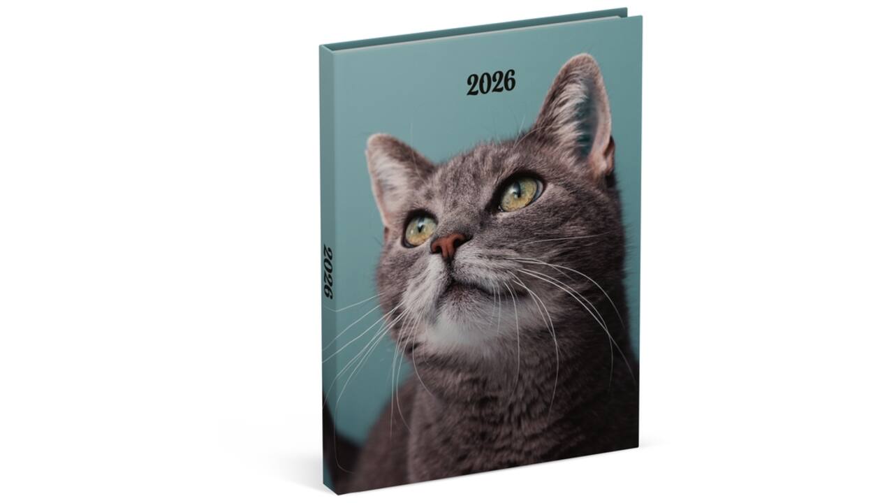Agenda 2026 Lannoo 110x150 My favourite friends 7dagen/2pagina's cats