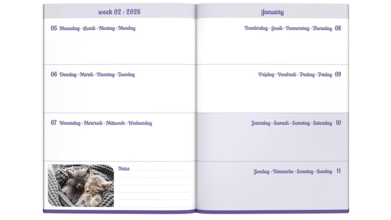 Agenda 2026 Lannoo 110x150 My favourite friends 7dagen/2pagina's cats