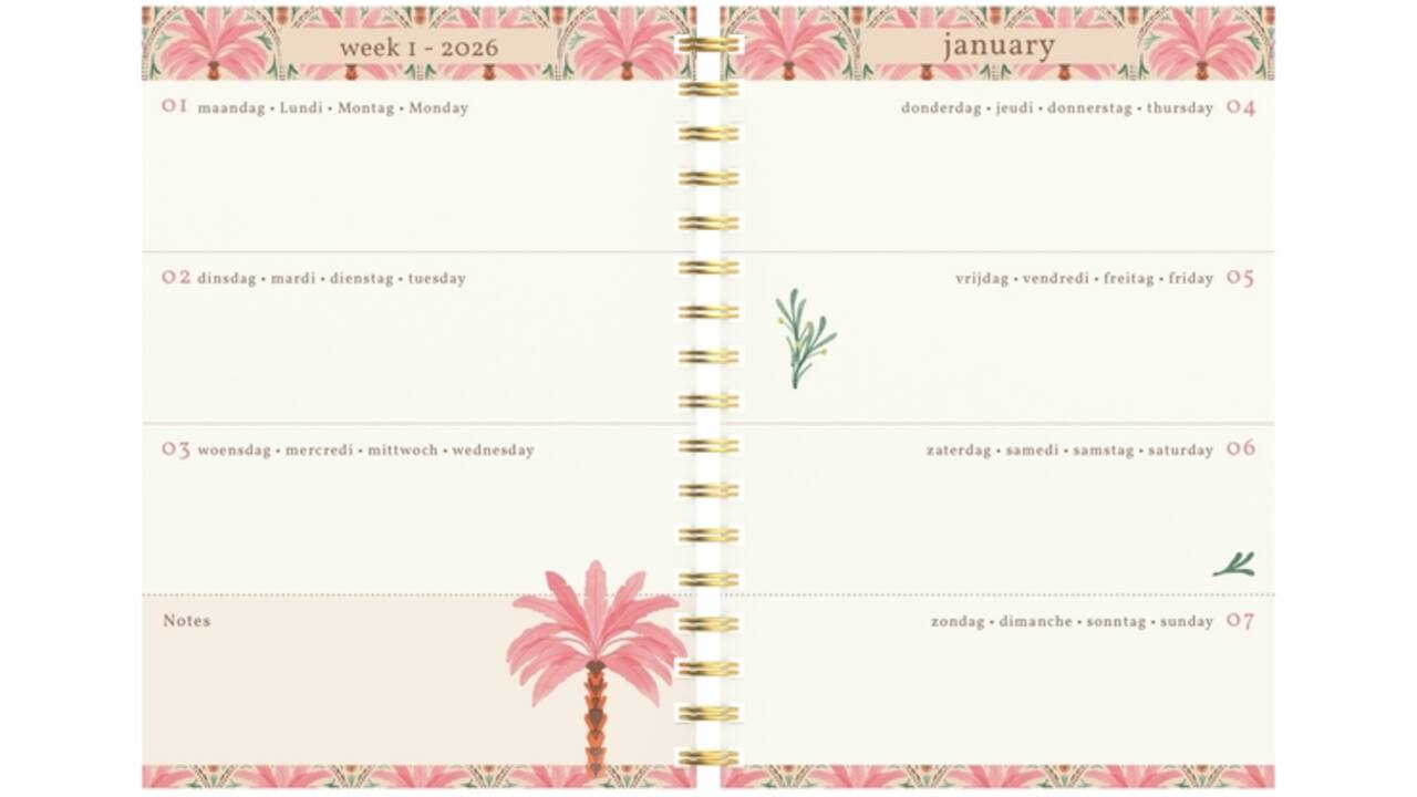 Agenda 2026 Lannoo 120x160 Exotic palms 7dagen/2pagina's roze