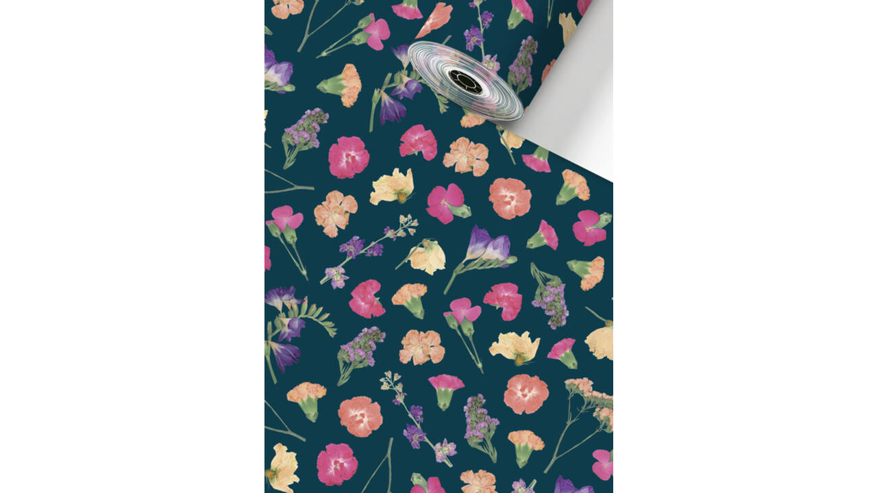 Apparaatrol Stewo Maila 150mx30cm