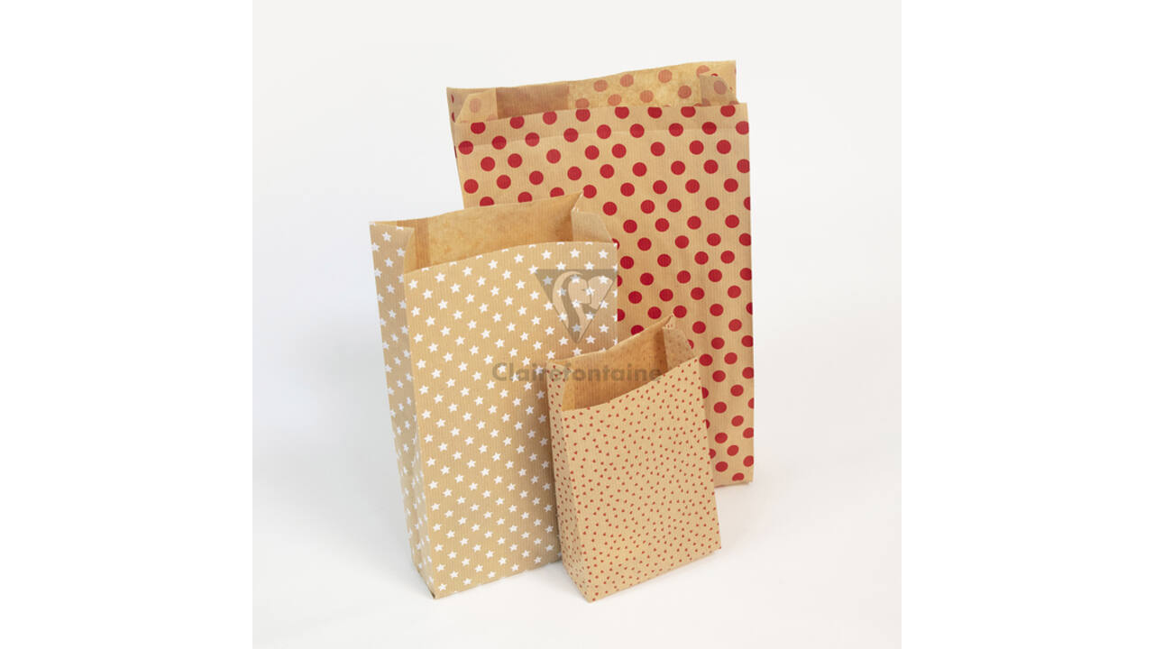 Cadeauzak Clairefontaine 12x24x4.5cm kraft harten 50 stuks