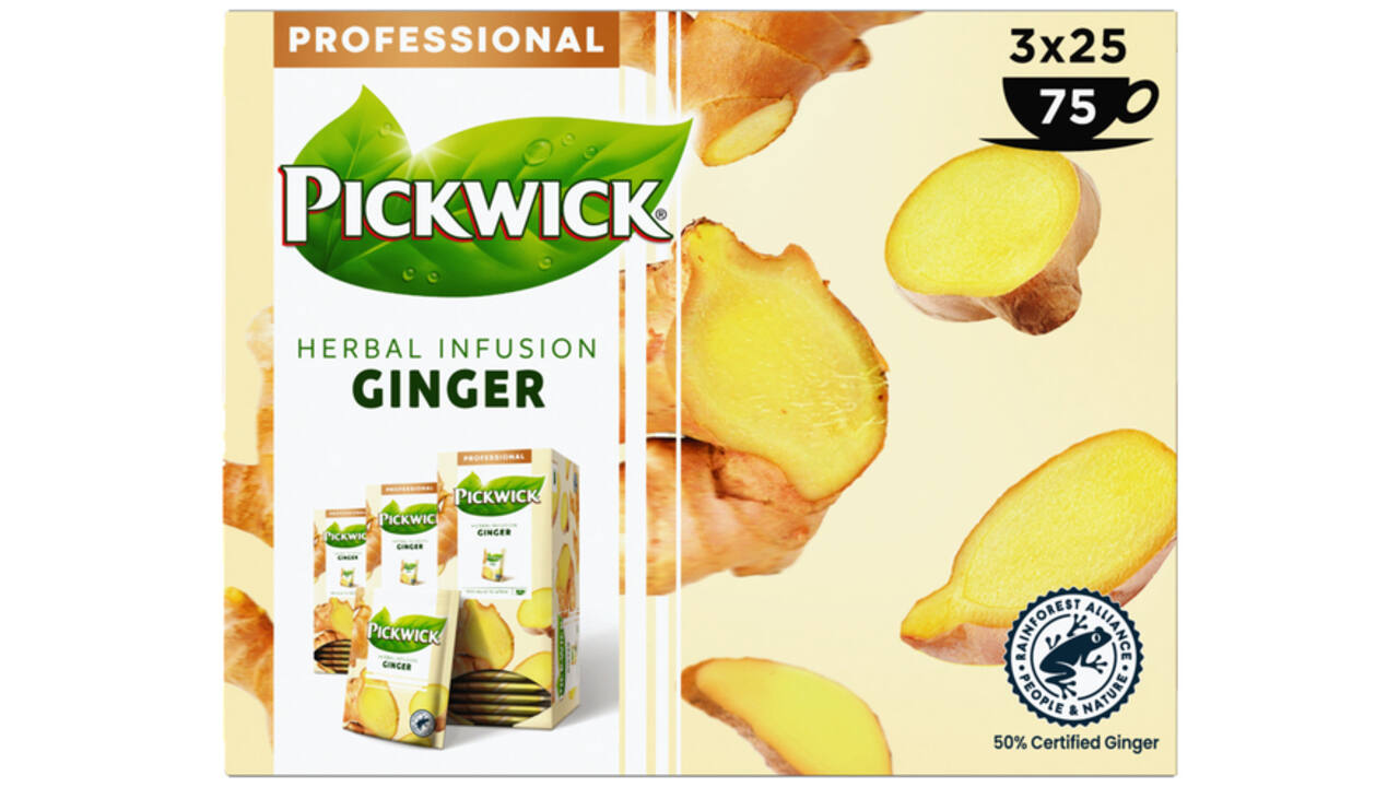 Thee Pickwick ginger 25x1.5gr