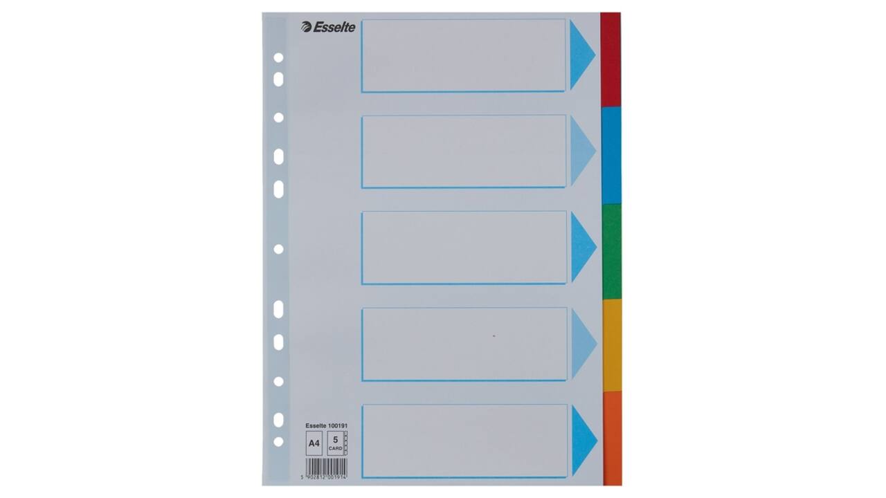 Tabbladen Esselte Standaard A4 5-delig karton 11-rings met voorblad assorti