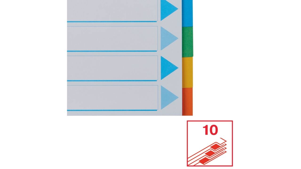 Tabbladen Esselte Standaard A4 10-delig karton 11-rings met voorblad assorti