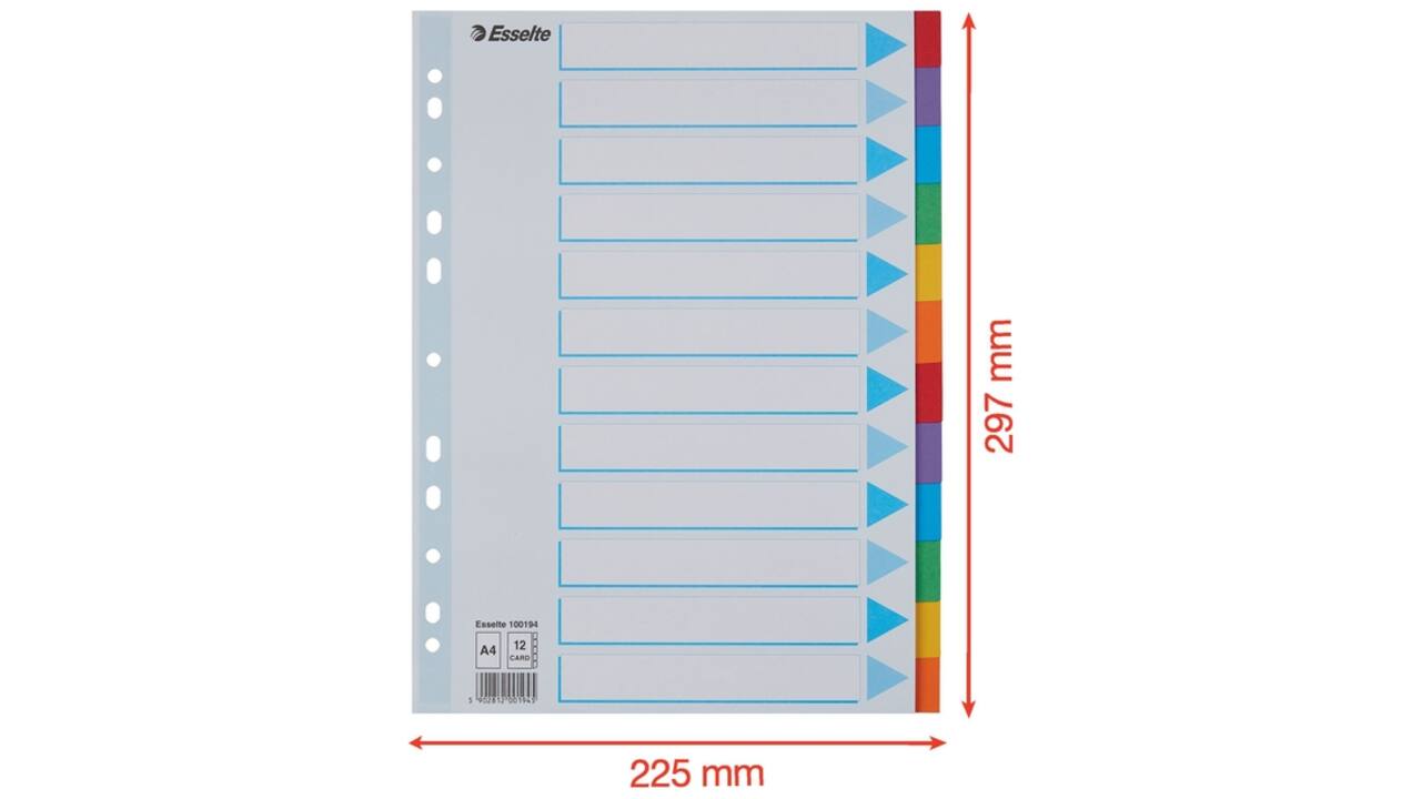 Tabbladen Esselte Standaard A4 12-delig karton 11-rings met voorblad assorti