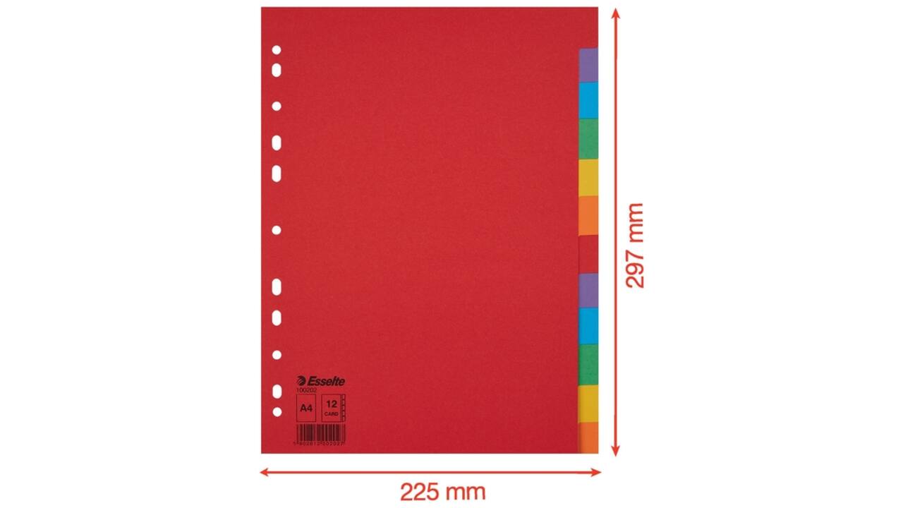 Tabbladen Esselte Economy A4 12-delig karton 11-rings assorti