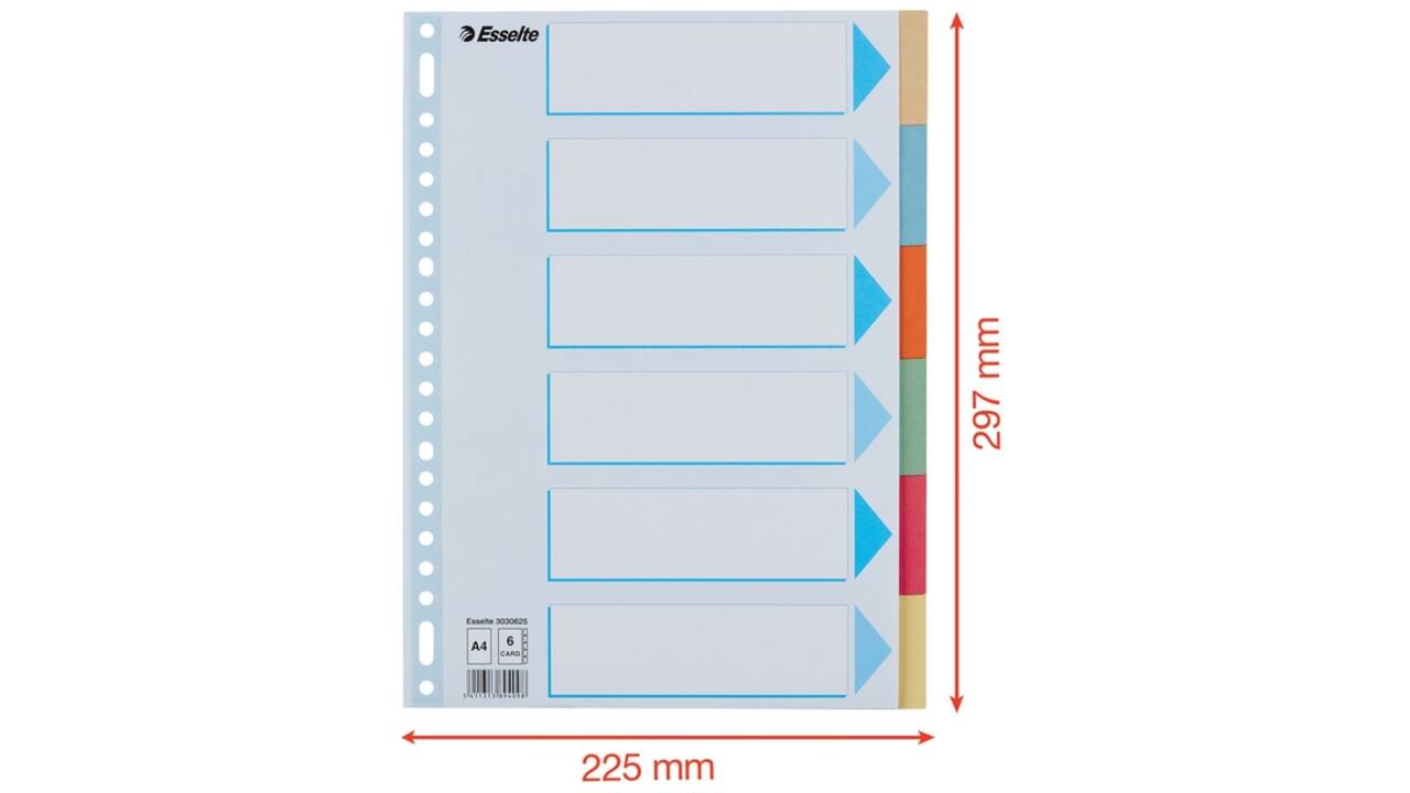 Tabbladen Esselte Premium A4 6-delig karton 23-rings assorti