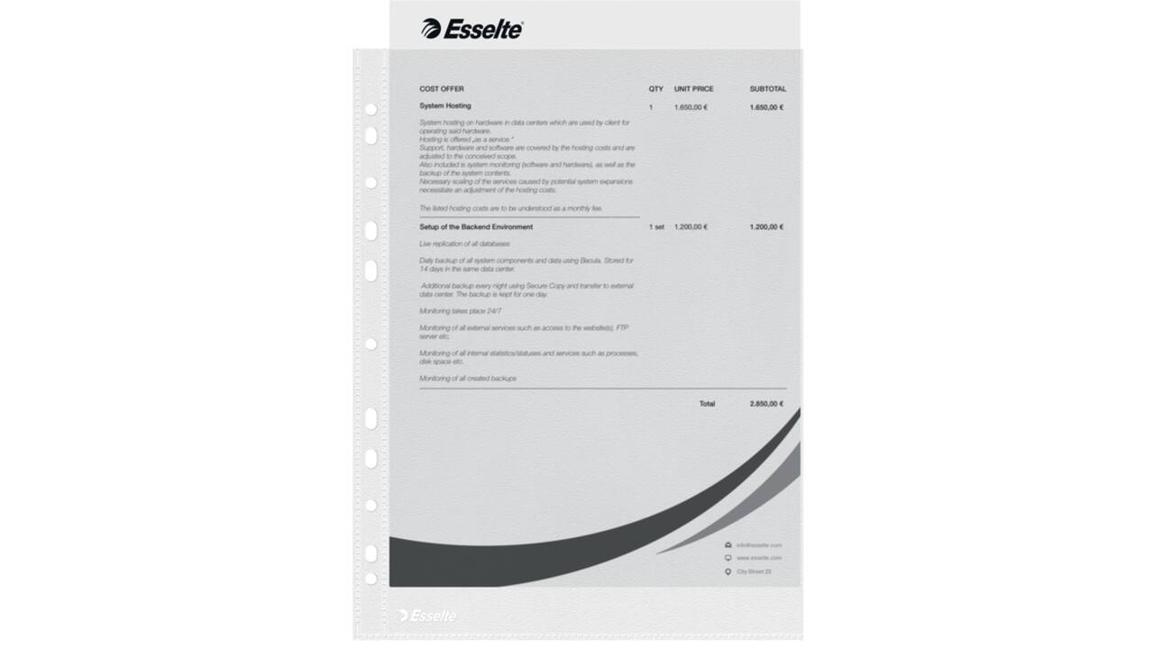 Showtas Esselte Economy copy safe 0.05mm PP A4 100 stuks