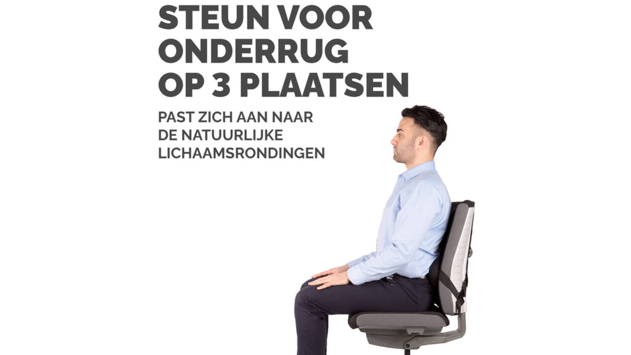 Rugsteun Fellowes Pro Ultieme
