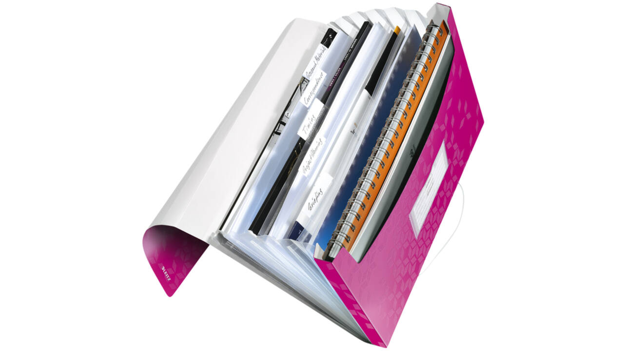 Projectmap Leitz WOW voor A4 6 vaks PP roze