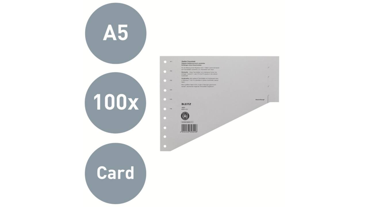 Scheidingsbladen Leitz A4 karton 200gr 11-gaats grijs