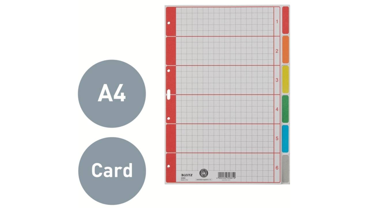 Tabbladen Leitz 4-gaats 4350 6-delig grijs karton