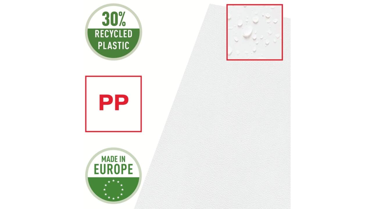 Insteekmap L-model Esselte standaard copy safe PP A4 transparant 100 stuks