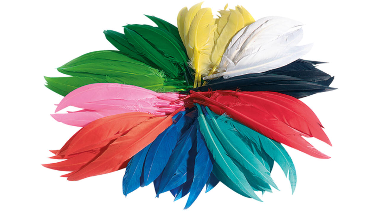 Indianen veren Folia assorti
