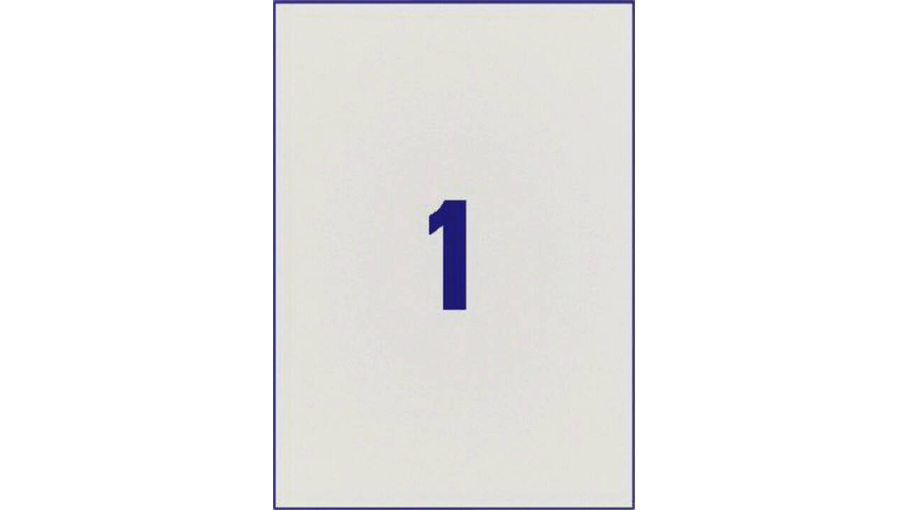 Etiket Avery L6013-20 210x297mm zilver 20stuks