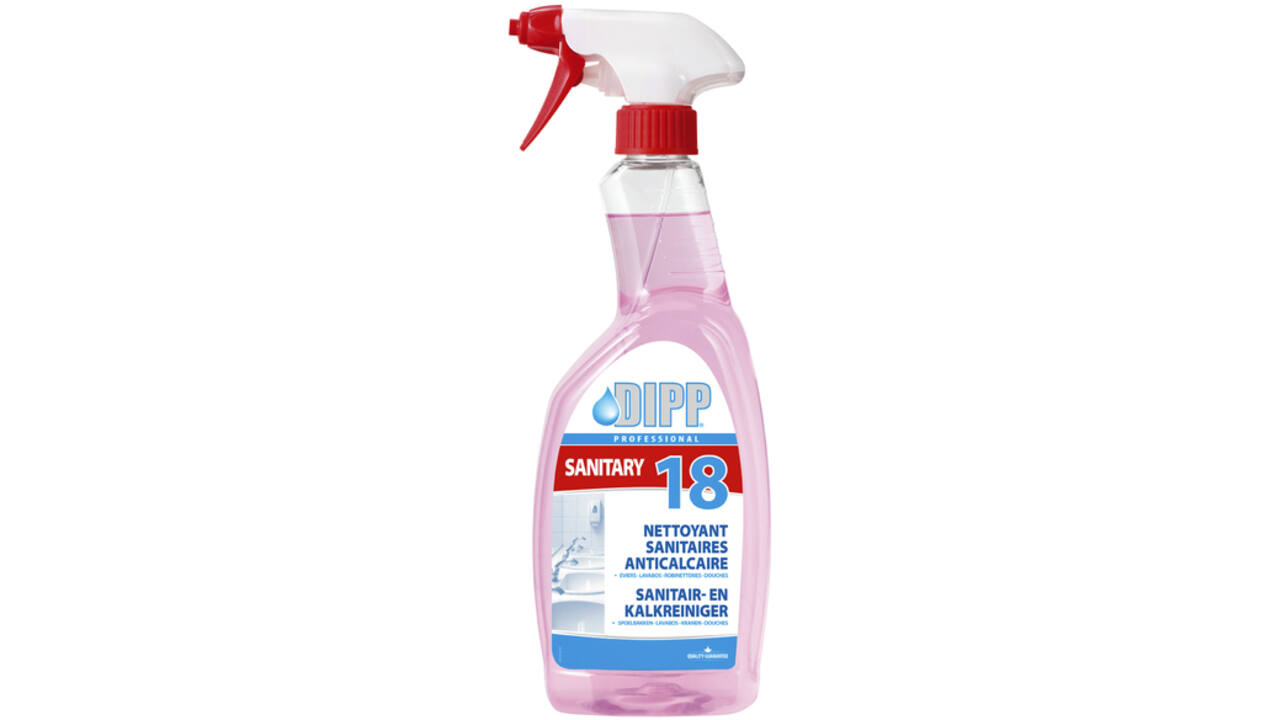 Sanitairreiniger DIPP spray