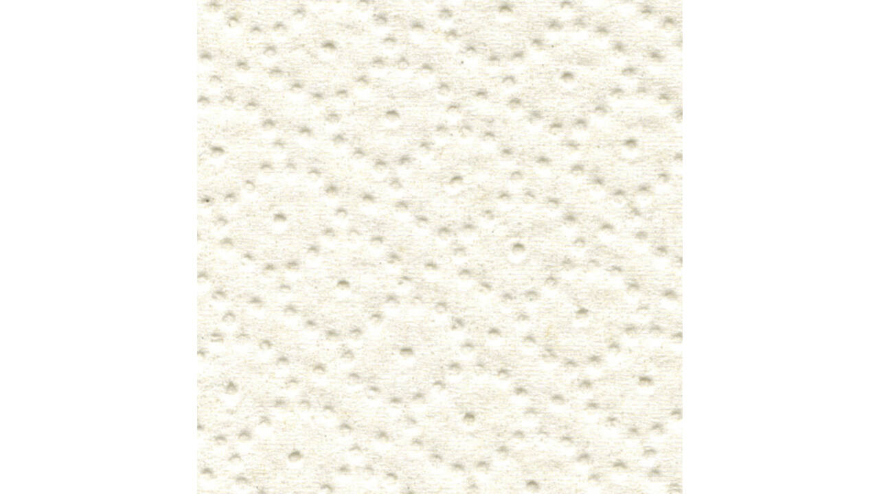 Poetspapier Satino Comfort CR1 2-laags 350m wit 305290