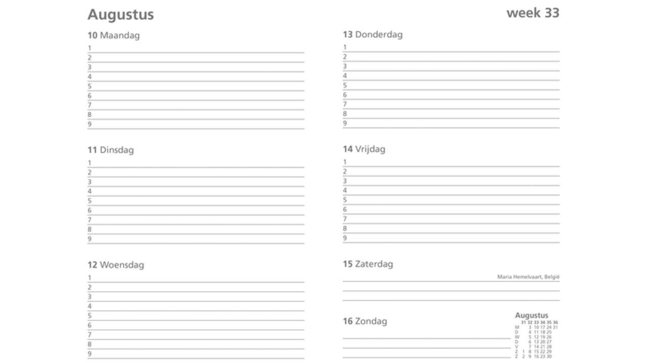 Schoolagenda 2024-2025 18mnd Ryam Studie 7dagen/2pagina's zwart
