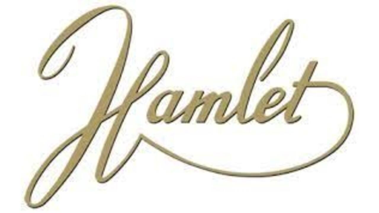 geschenkdoos Hamlet chocolade zeevruchten