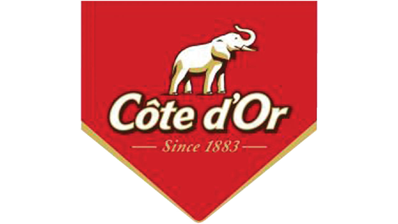 Chocolade Cote d'Or mignonnette melk 24x10 gram