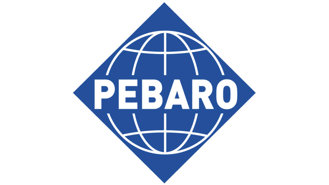 Houtbrander Pebaro de luxe