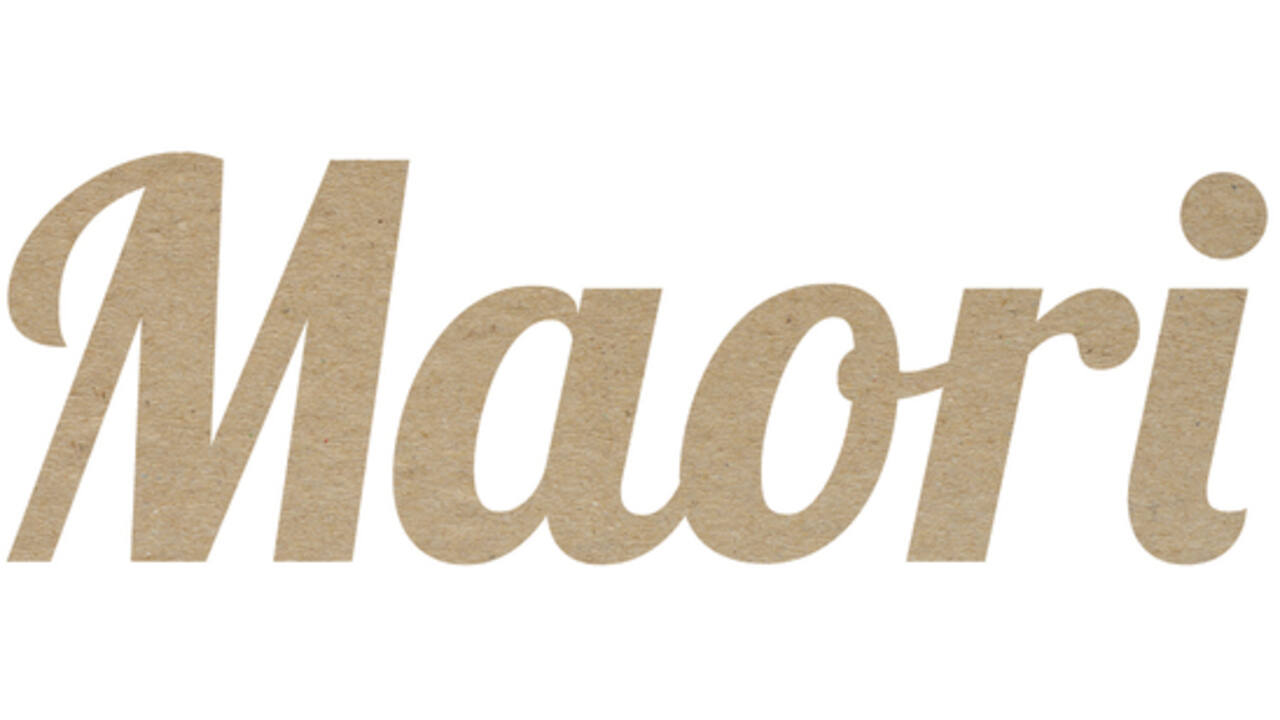 Hamburgerdoos Maori 115x110x70mm karton bruin 320stuks