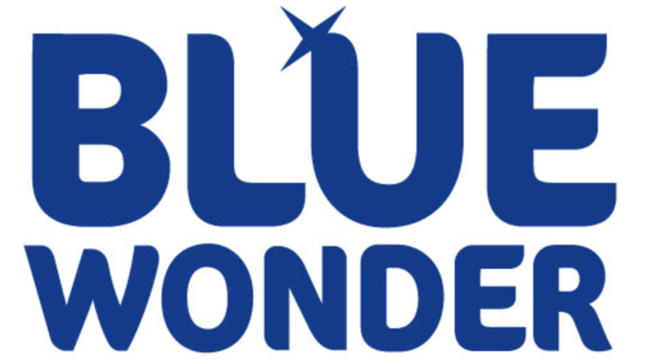 Allesreiniger Blue Wonder spray 750ml