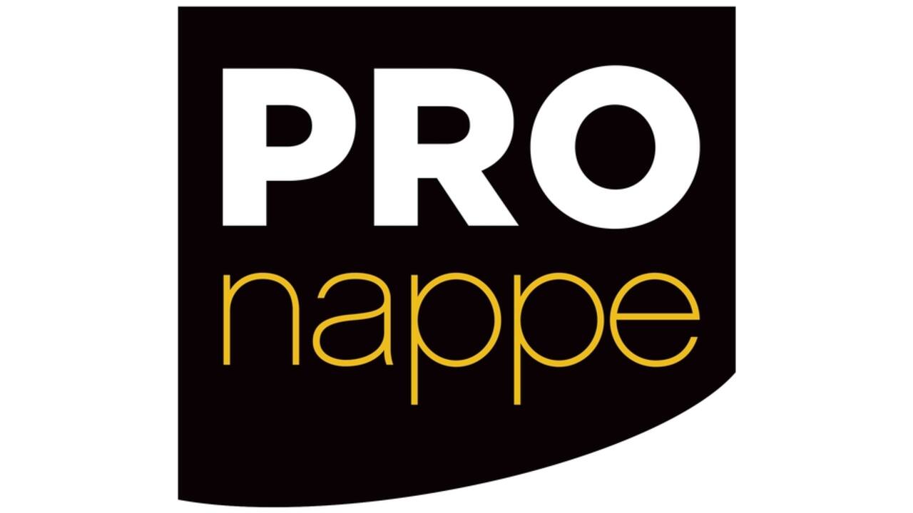 Servet Pronappe 1/4 vouw 2-laags 380x380mm 40 vel bordeauxrood