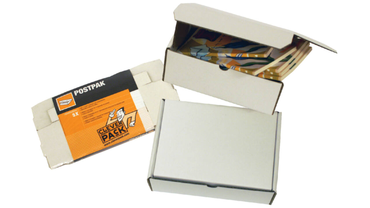 Postpakket CleverPack golfkarton 220x160x90mm wit pak à 25 stuks