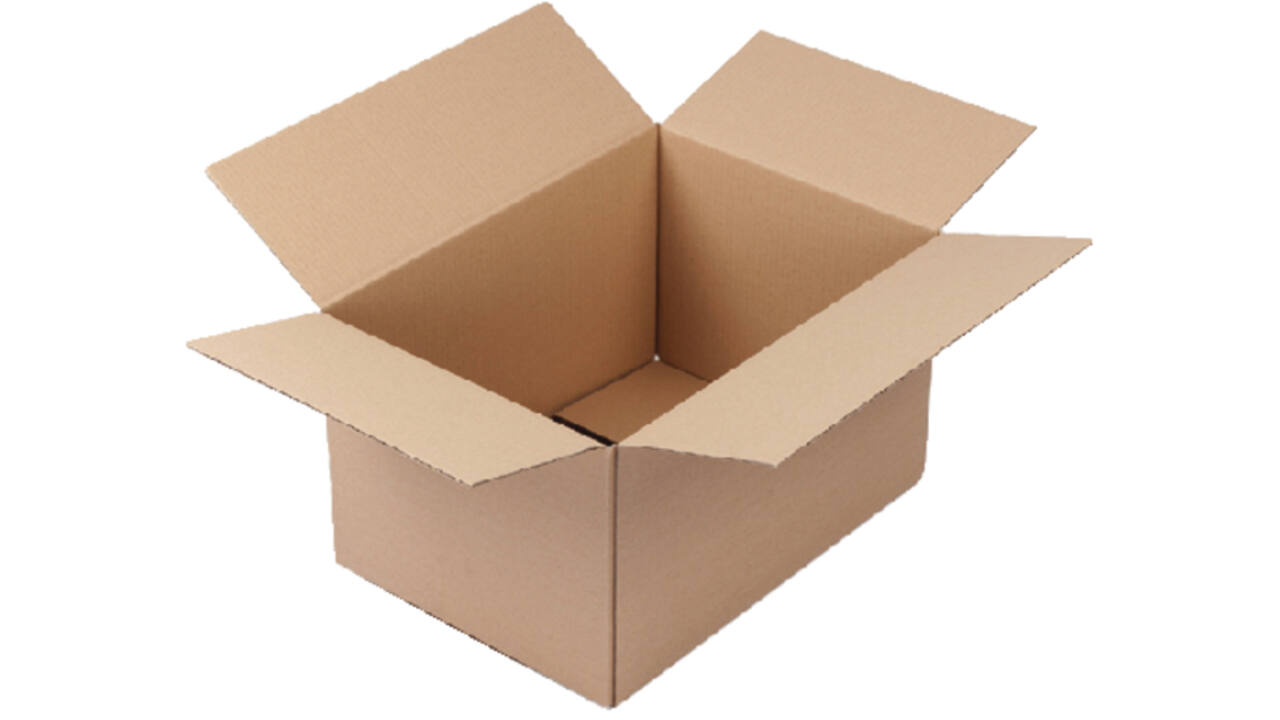 Verzenddoos CleverPack enkelgolf 305x220x250mm bruin pak à 30 stuks