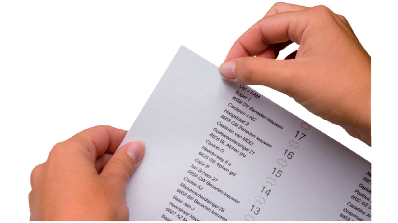 Indicatie ruiterstroken Jalema Jockey 100mm