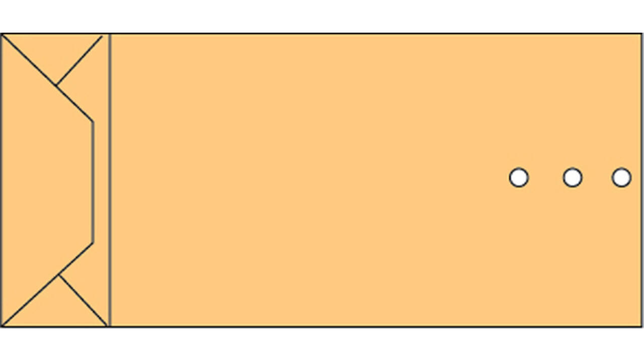 Envelop Quantore monsterzak 100x245x40mm bruin 250stuks