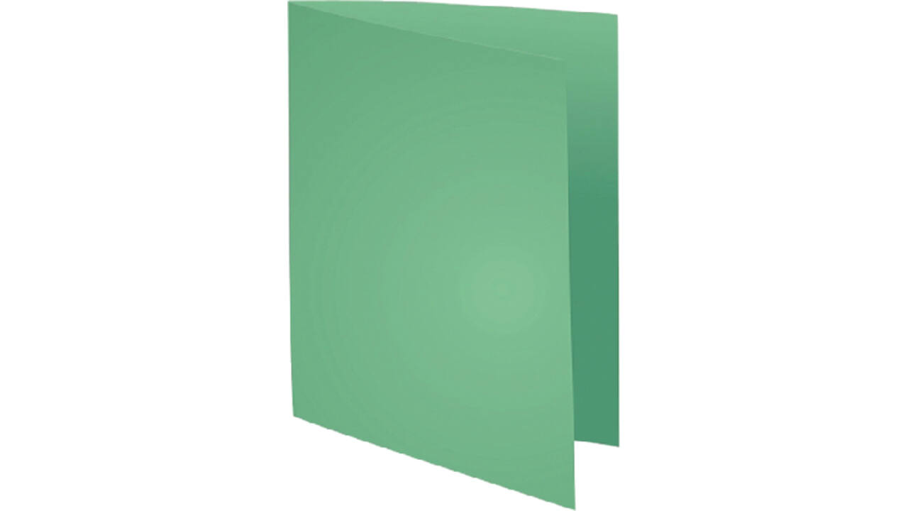 Vouwmap Exacompta Forever A4 170gr grasgroen