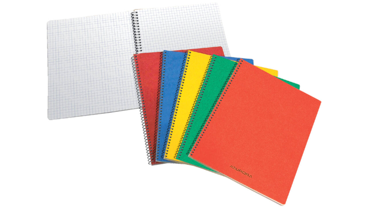 Schrift Aurora 75x110mm ruit 5x5mm 160 pagina's 60gr assorti
