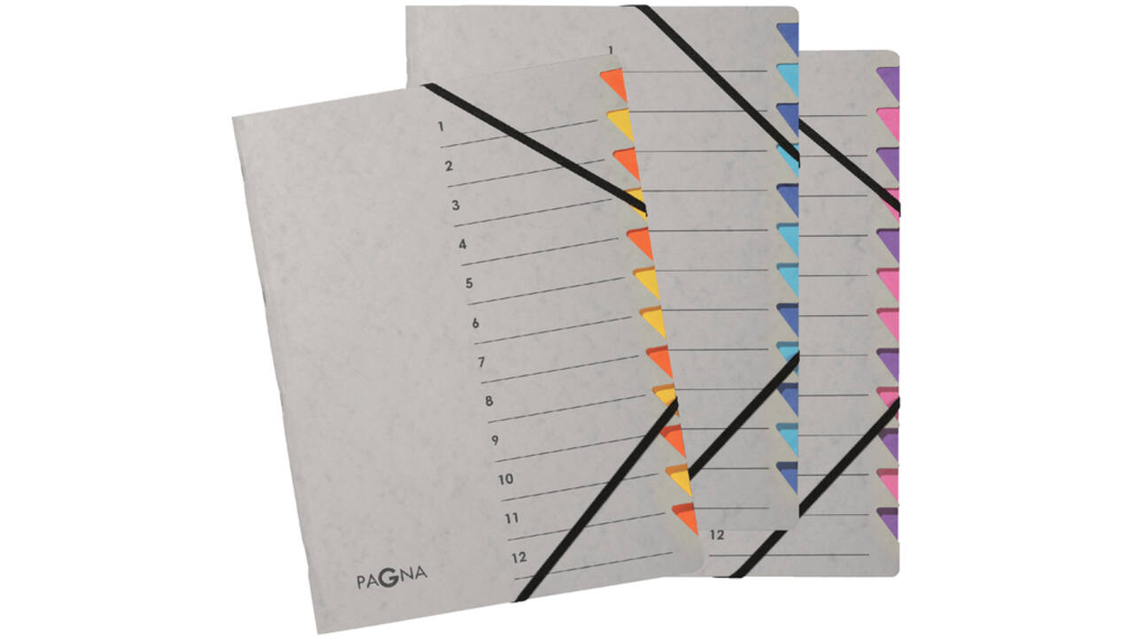 Sorteermap Pagna Easy A4 12 tabs paars/lila