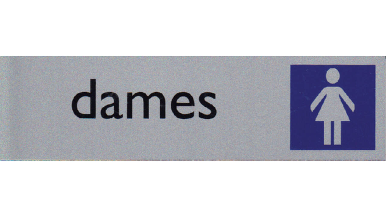 Infobord pictogram dames 165x44mm