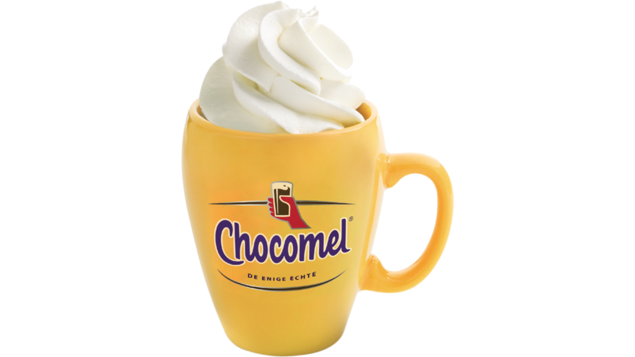Chocolademelk Chocomel blik 250ml