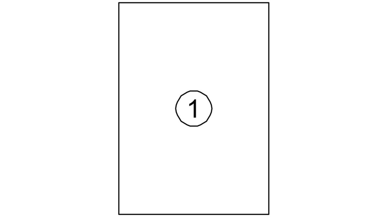 Etiket Avery DP001 210x297 wit 100 stuks