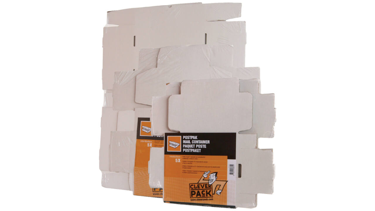 Postpakket CleverPack golfkarton 220x160x90mm wit pak à 25 stuks