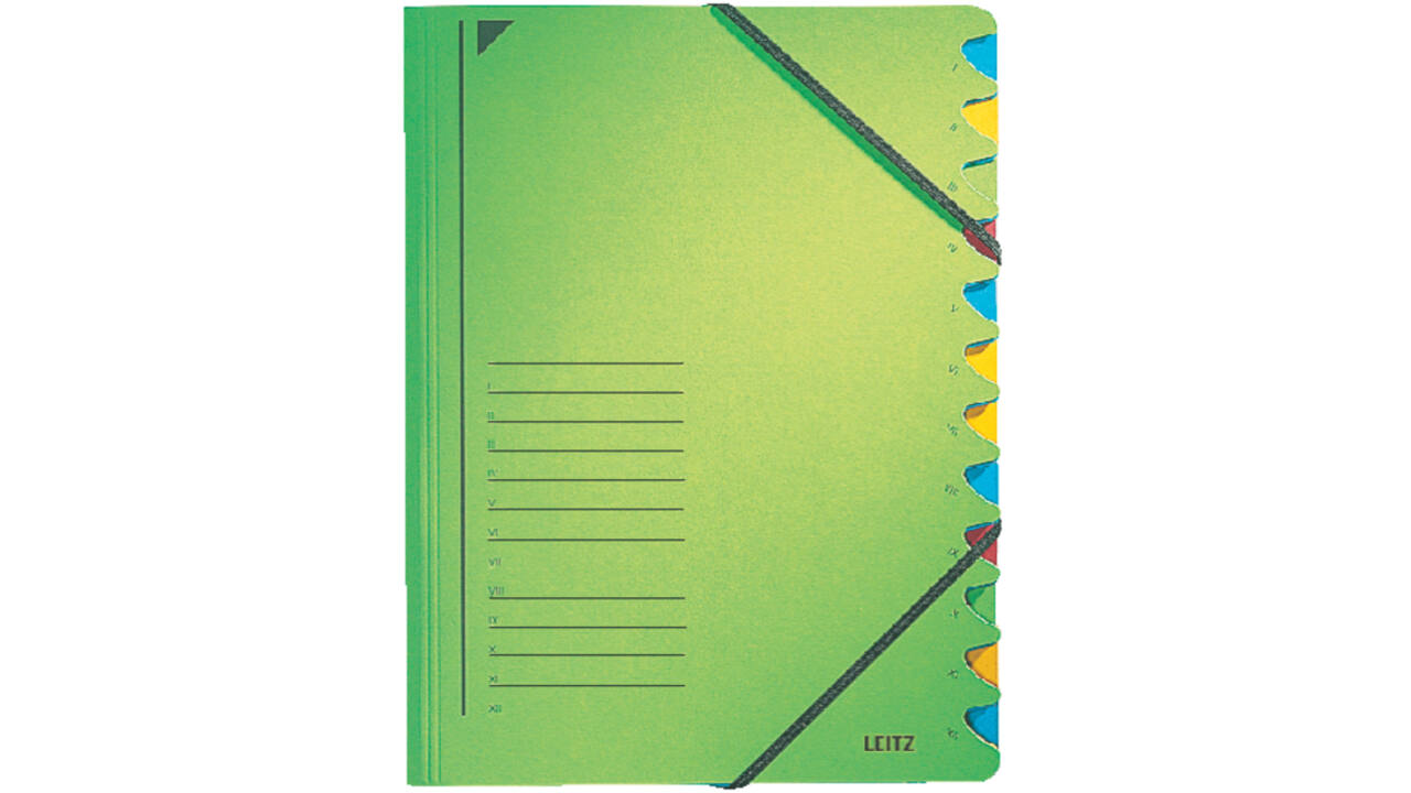 Sorteermap Leitz 12 tabbladen karton groen