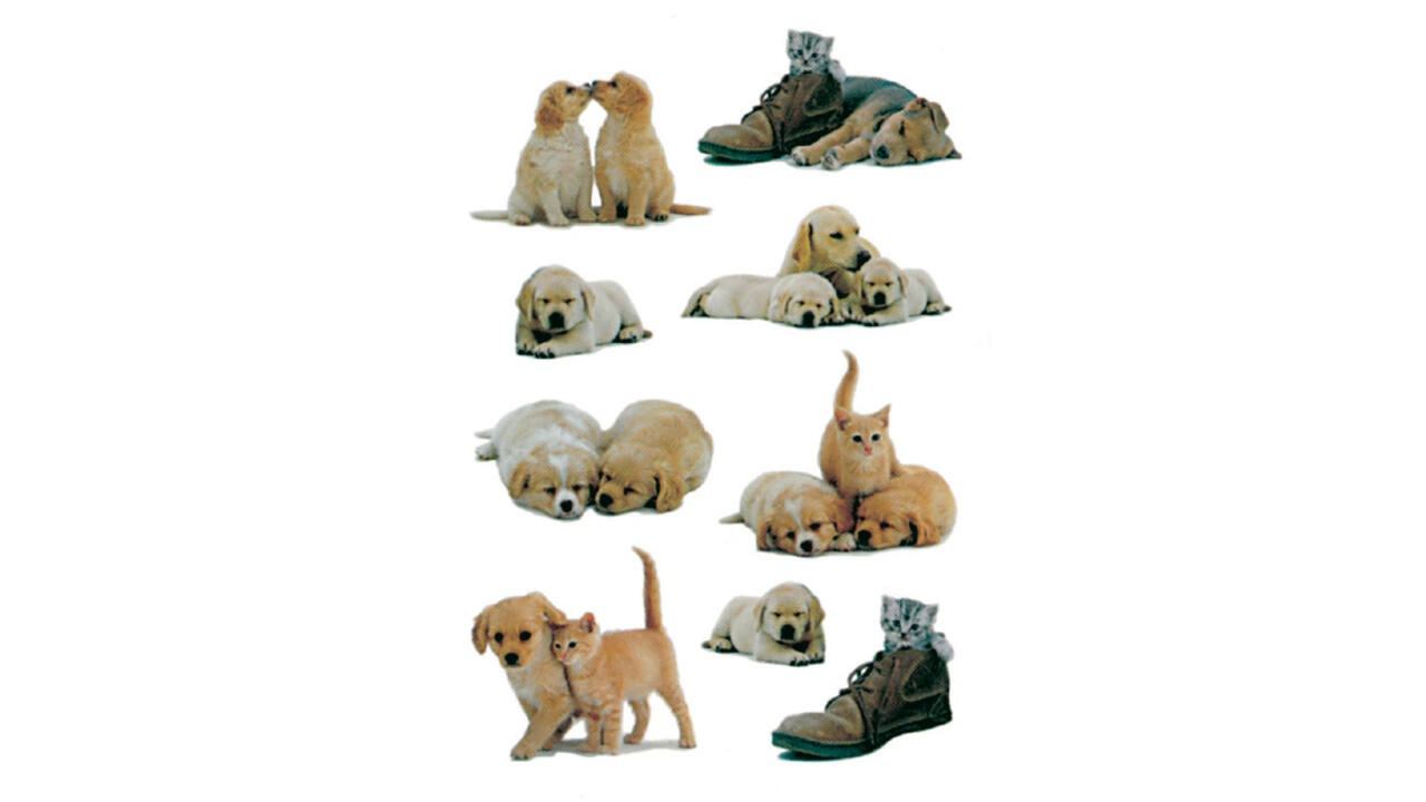 Etiket HERMA 5606 puppy's