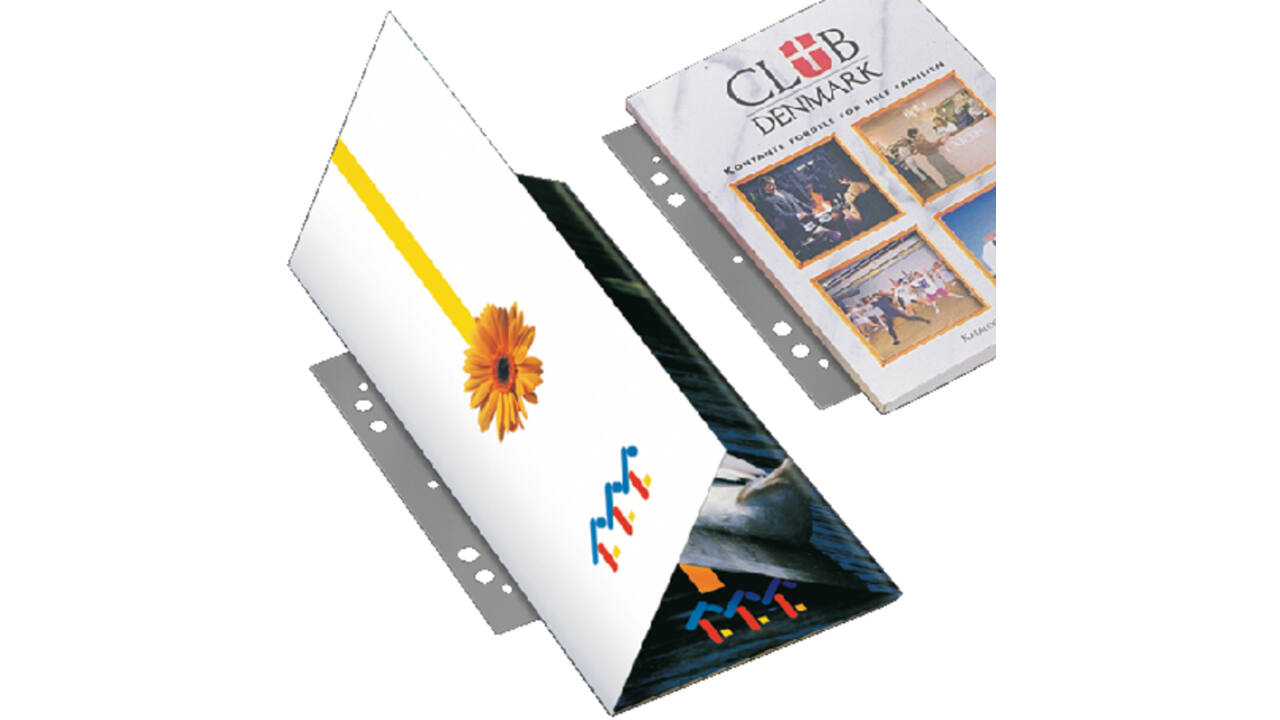 Opbergstrip Djois filestrip 125mm 2rings transparant 50 stuks