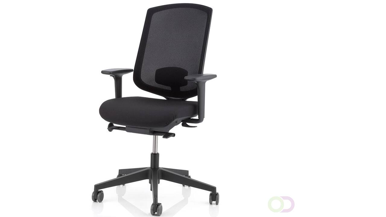 Delo Ergo chair 1+