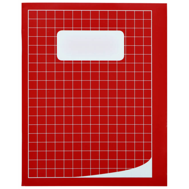 Schrift Qbasic 210x165mm ruit 10mm 80blz 70gr assorti